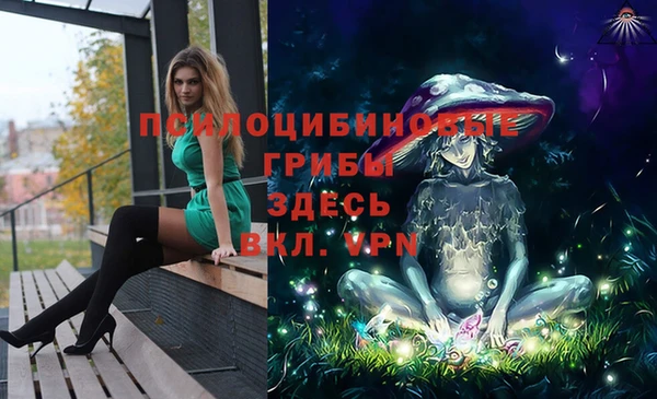 дмт Армянск