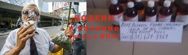 не бодяженный Арсеньев