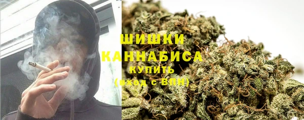 не бодяженный Арсеньев